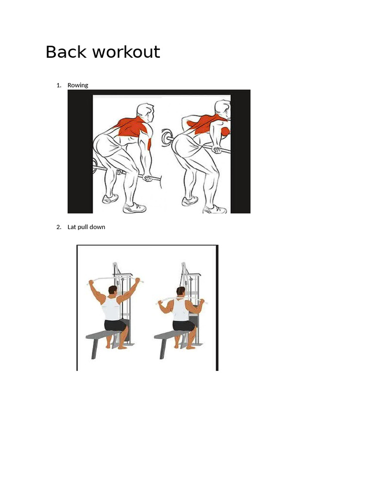 Back Workout | PDF