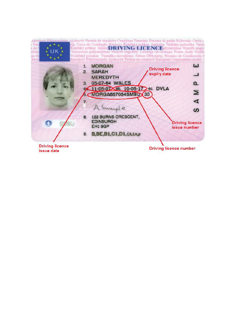 Driving Licence Example | PDF