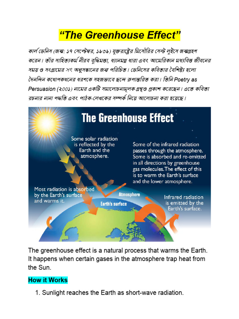 The Greenhouse Effect | PDF