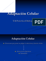 Adaptación Celular