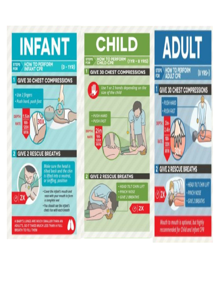 Adult CPR | PDF