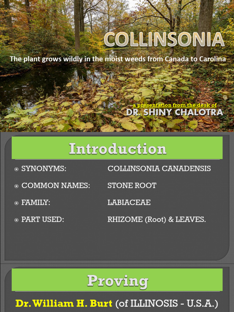10 Collinsonia | PDF | Hemorrhoid | Liver
