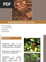 Download Microbiologa del cacao by Adriana Chiriboga Espinosa SN100252705 doc pdf