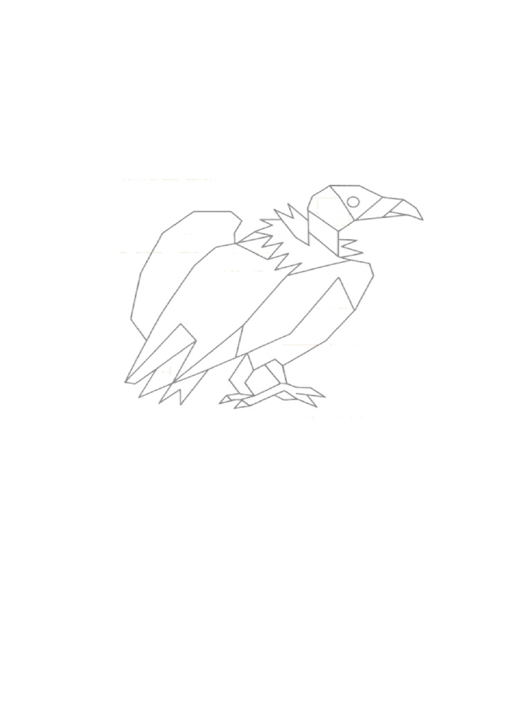 Condor Geometrico | PDF