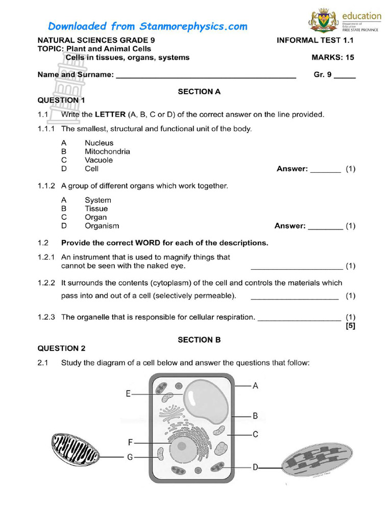 FS Natural Sciences Grade 9 March QP and Memo | PDF