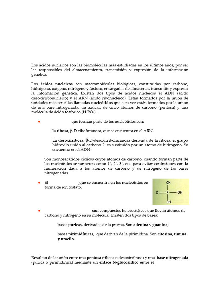 TEMA 5 Los Ácidos Nucleicos | PDF | Rna | Adn
