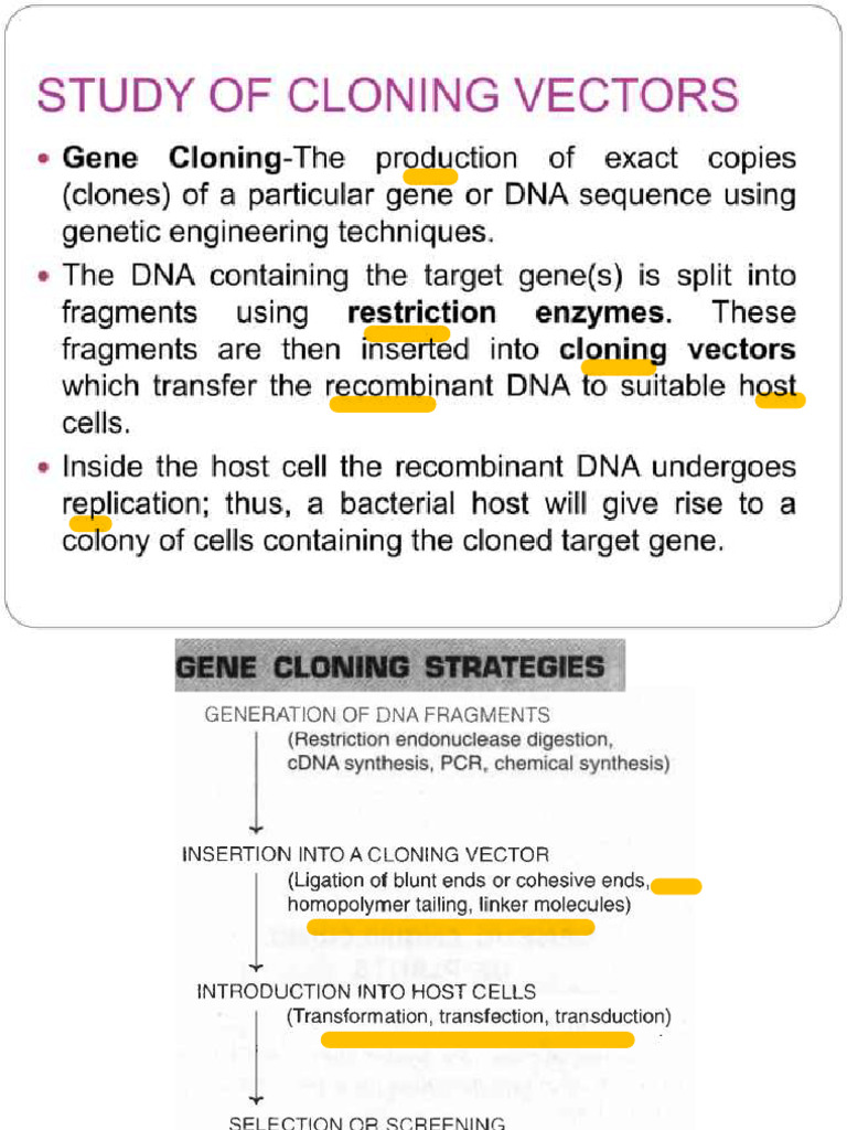 2.1 Recombinant DNA Technology | PDF | Molecular Cloning | Vector ...