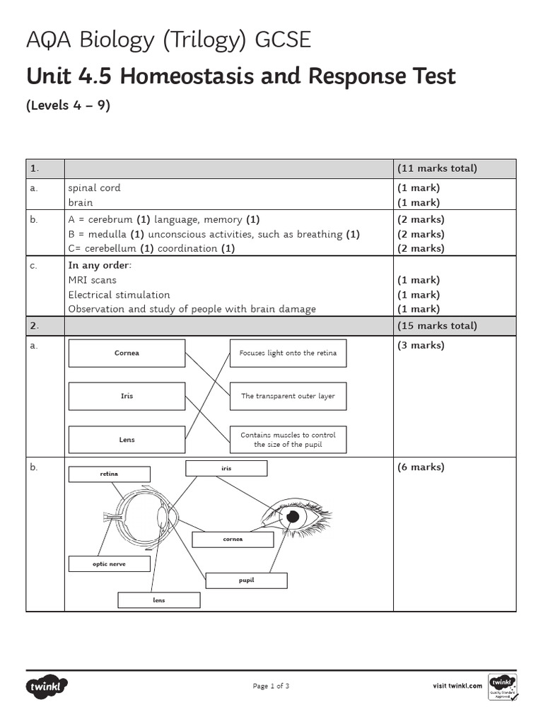 AQA Biology GCSE Unit 4.5 Homeostasis and Response-Answers | PDF