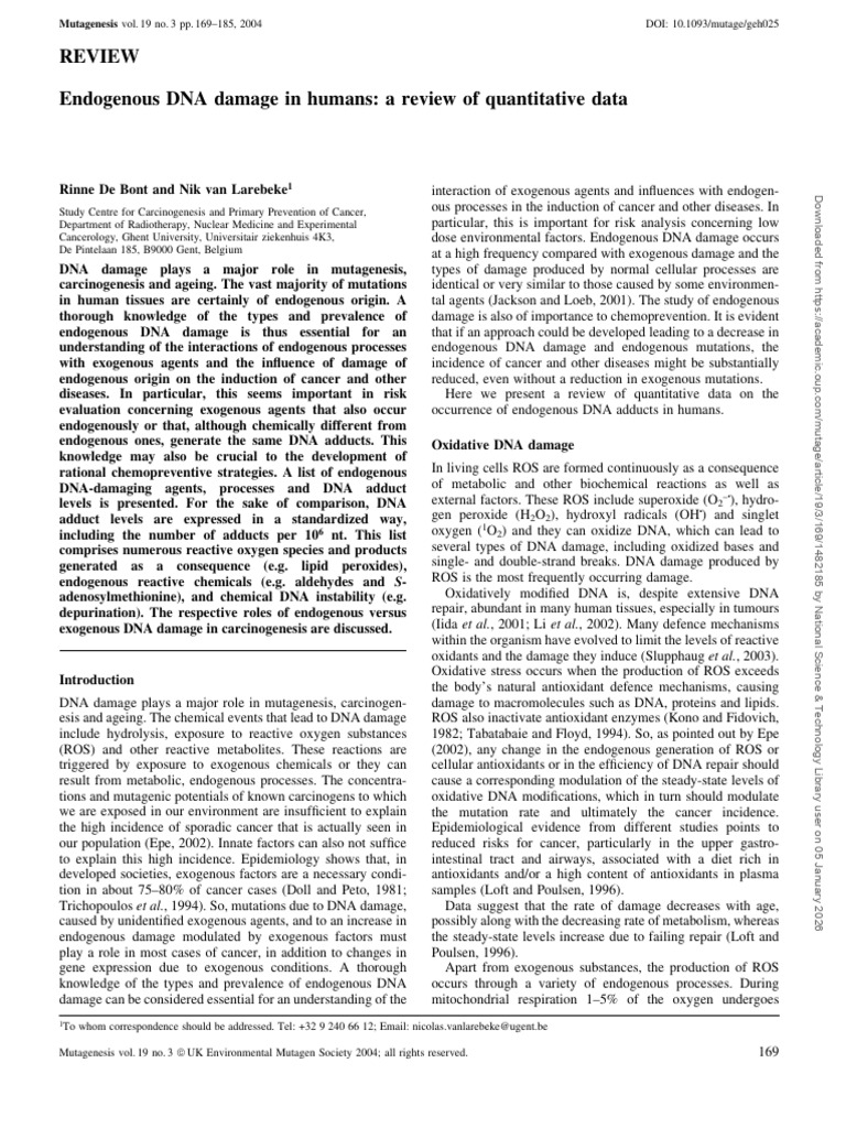 2-Endogenous DNA Damage in Humans A Review of Quantitative Data | PDF ...
