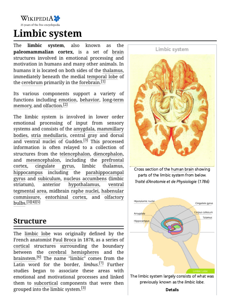 Limbic System - Wikipedia | PDF | Limbic System | Hippocampus