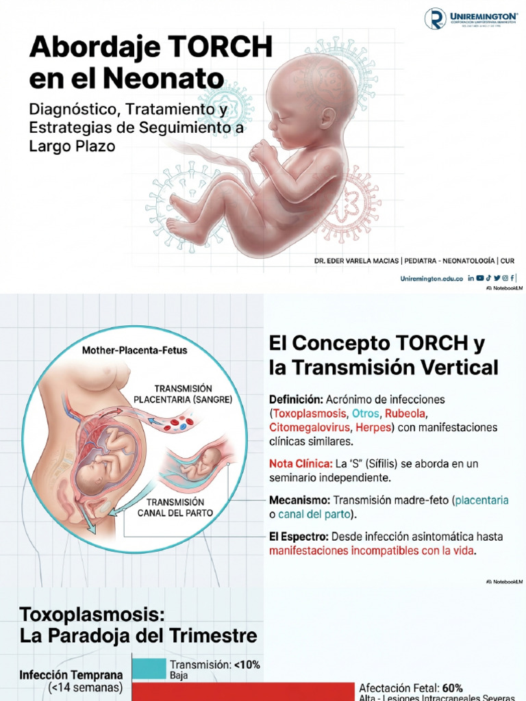 Abordaje TORCH Neonatal | PDF