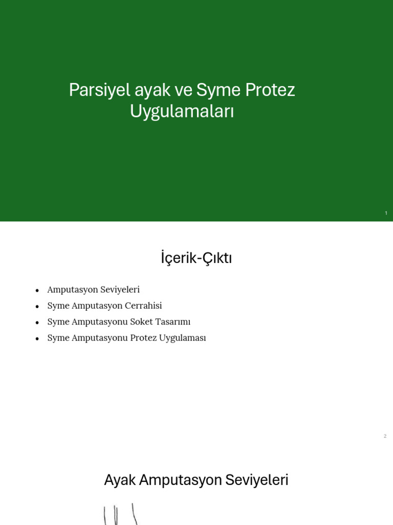 Parsiyel Ayak Ve Syme Protezleri Yeni | PDF