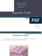 Reparacion Tisular