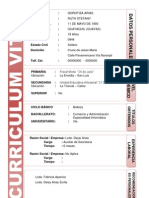 Curriculum Vitae3