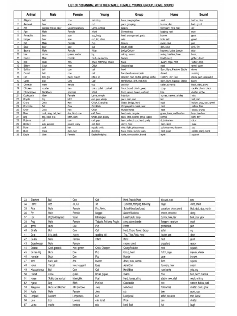 Animals Name | PDF