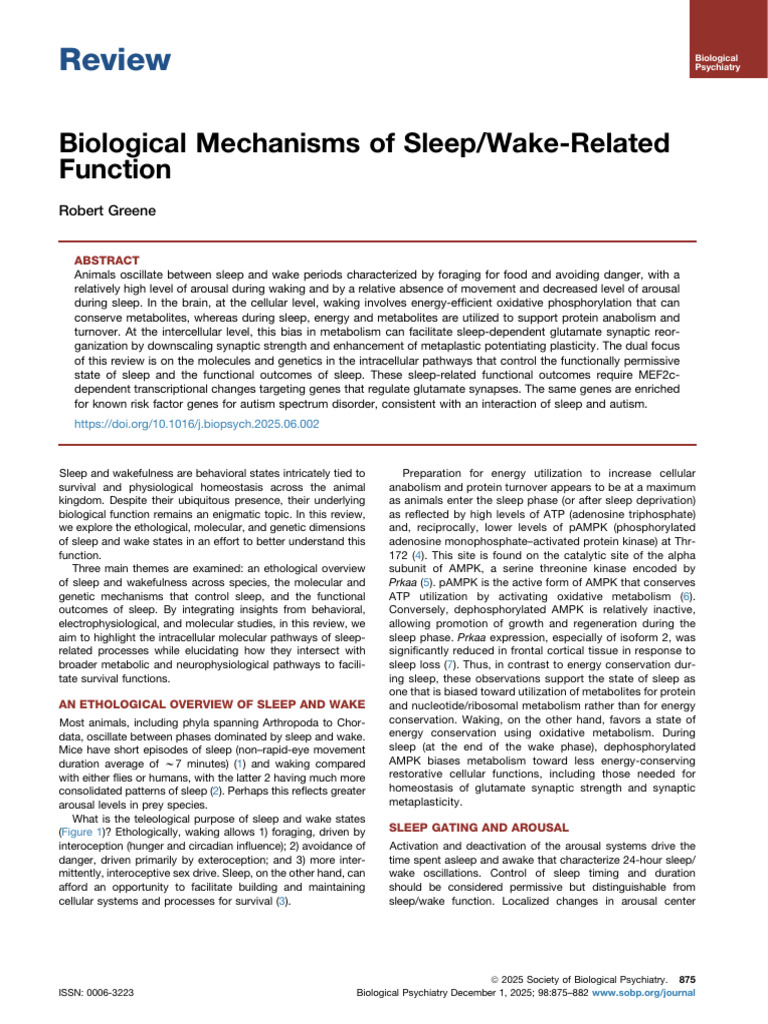 Biological Mechanisms of Sleep Wake Related Functi | PDF | Synapse ...