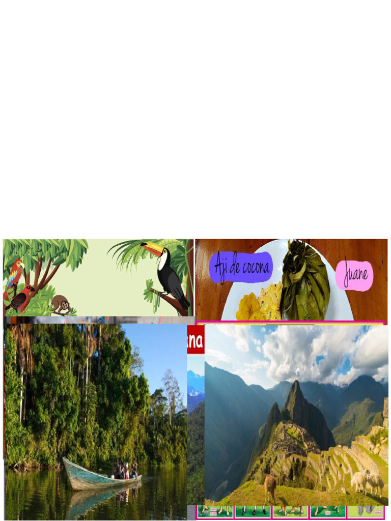 Comcepto de La Selva Peruana | PDF | Perú | Ciencias de la Tierra