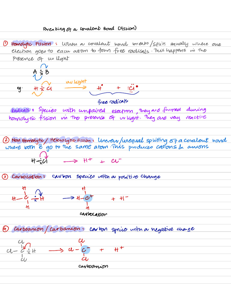 Alkanes Notes | PDF