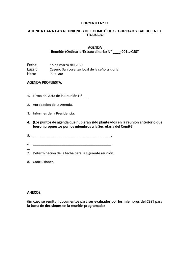 Formato 11 | PDF