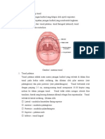 Anatomi Dan Fisiologi Tonsil