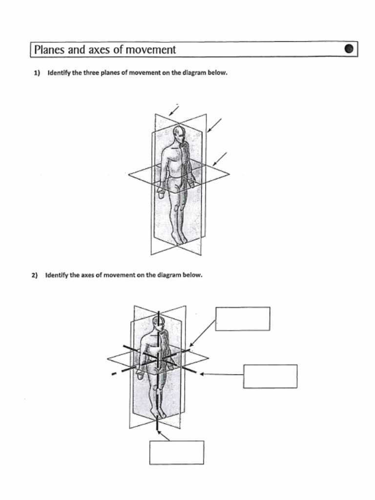 Movement Analysis Homework Version 2 | PDF