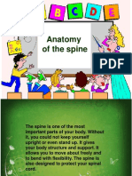 18 - Anatomy of the Spine - D3 (2)
