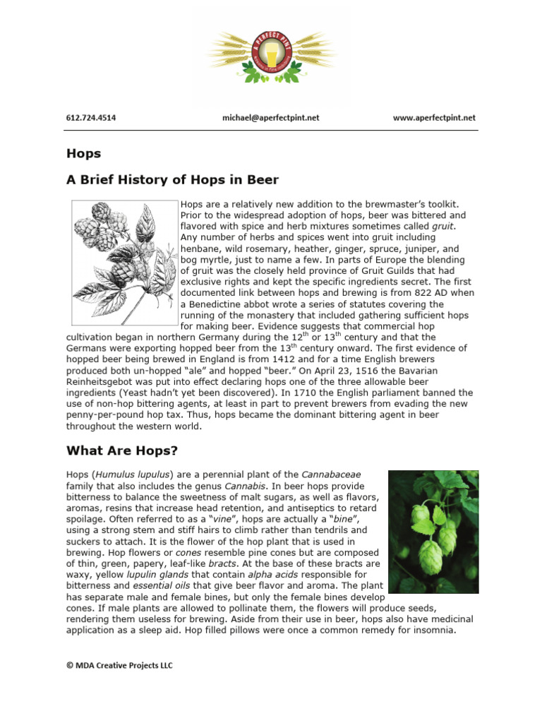 Hops History | PDF | Hops | Brewing