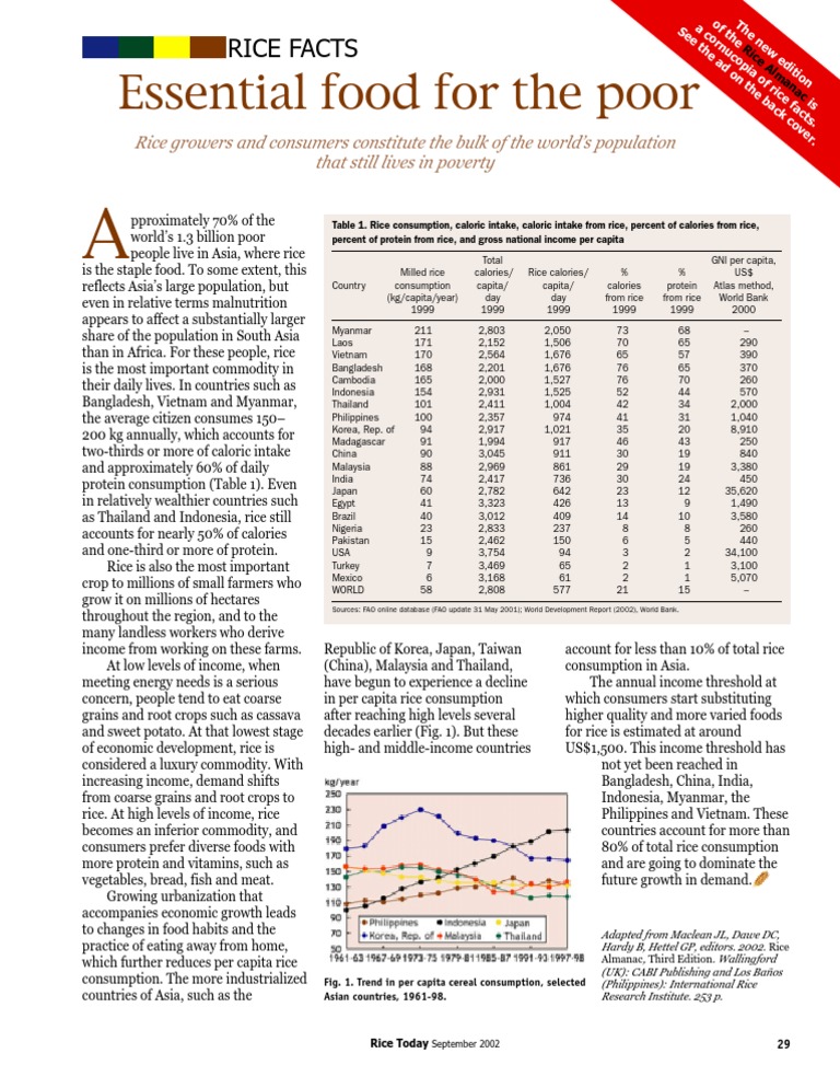 RT Vol. 1, No. 2 Rice Facts | PDF | Rice | Staple Foods
