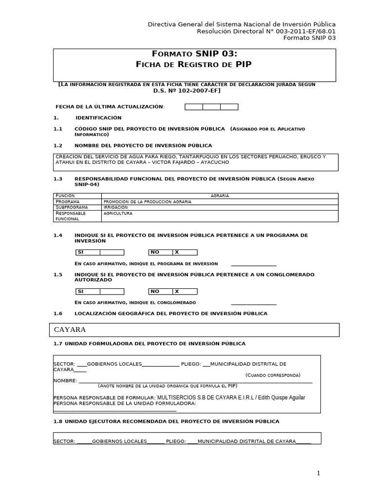 ND Formato SNIP 03 Ficha de Registro de PIP | PDF | Agricultura | Riego