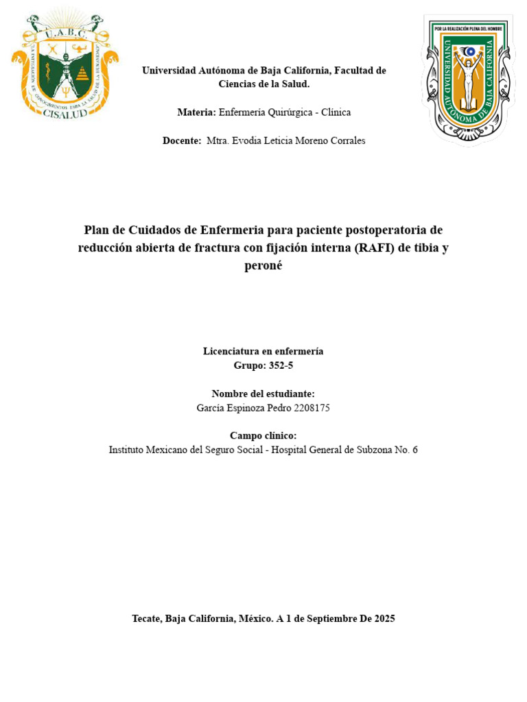 Plan de Cuidados de Enfermería para Paciente Postoperatoria de ...