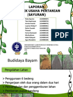 Laporan Sayur