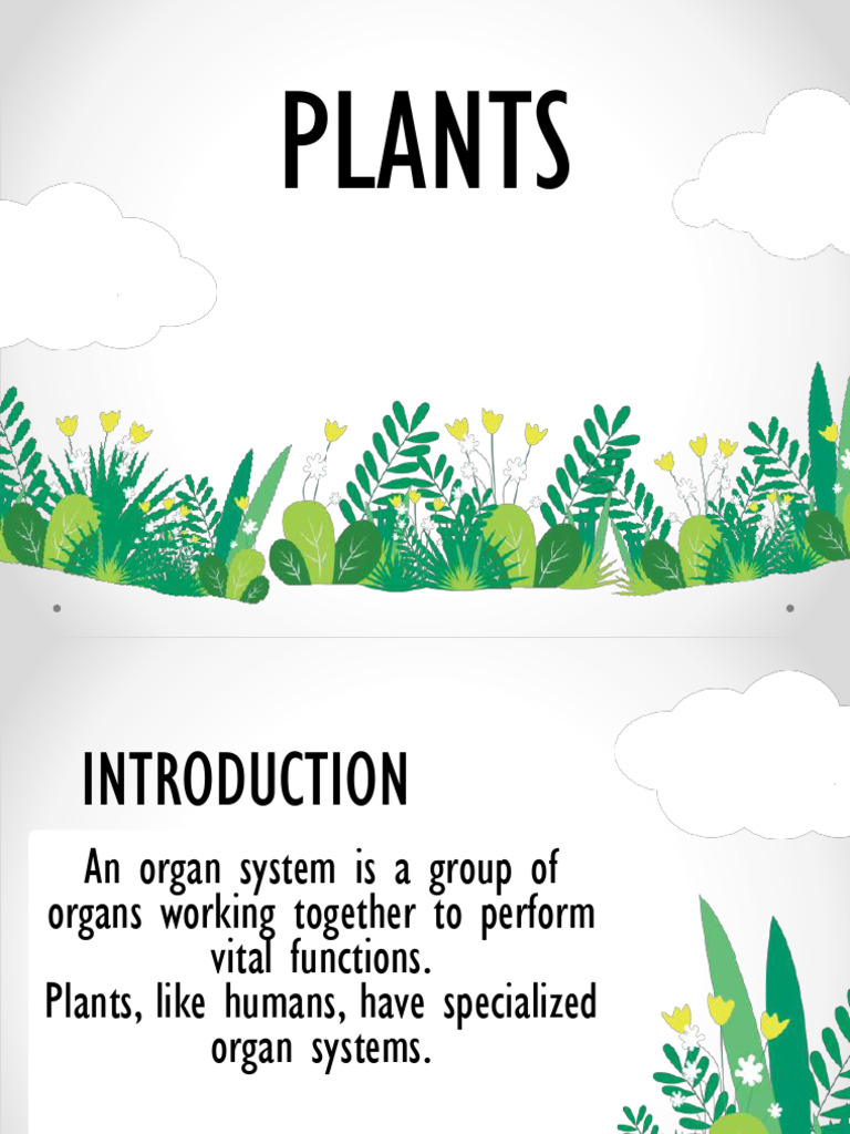The Multicellular Plant Body Plants Organ Systems and Its Functions ...