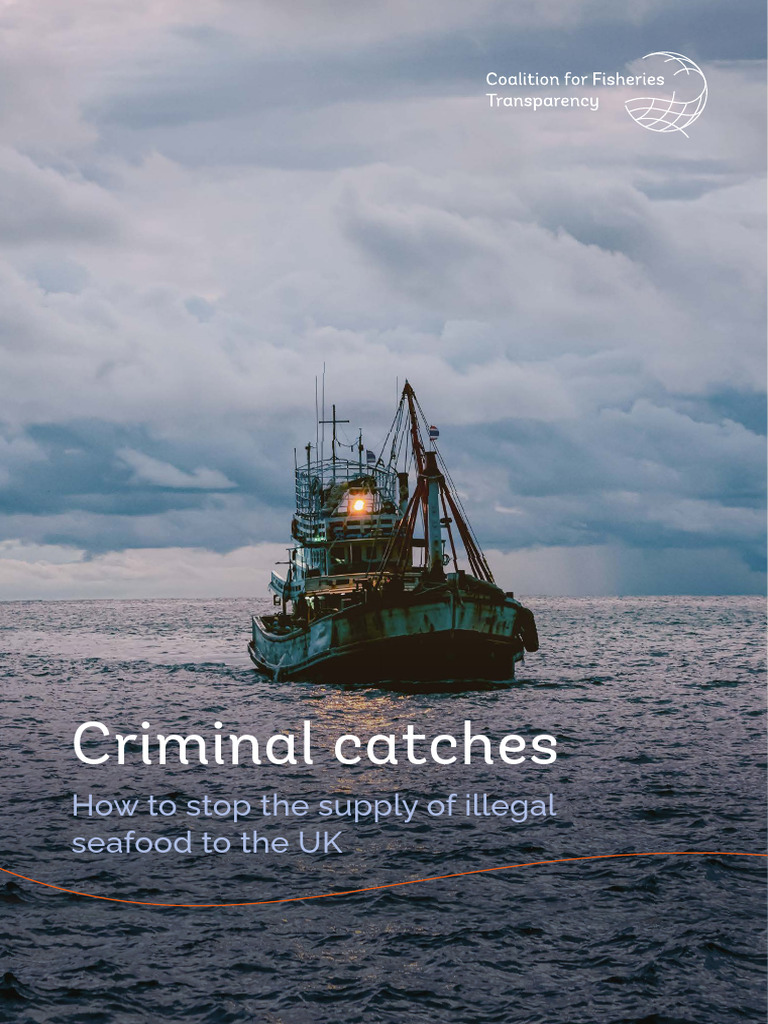 Criminal Catches How To Stop The Supply of Illegal Seafood To The UK ...