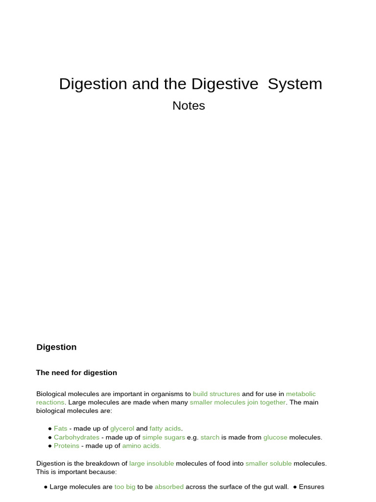 1.3 Digestion and The Digestive System | PDF | Digestion | Human ...