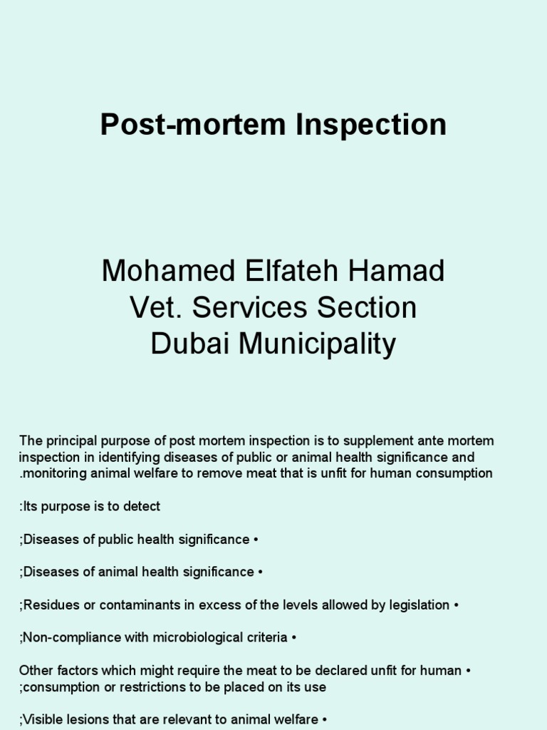PostMortem Inspection Presentation PDF Lymphatic System Liver