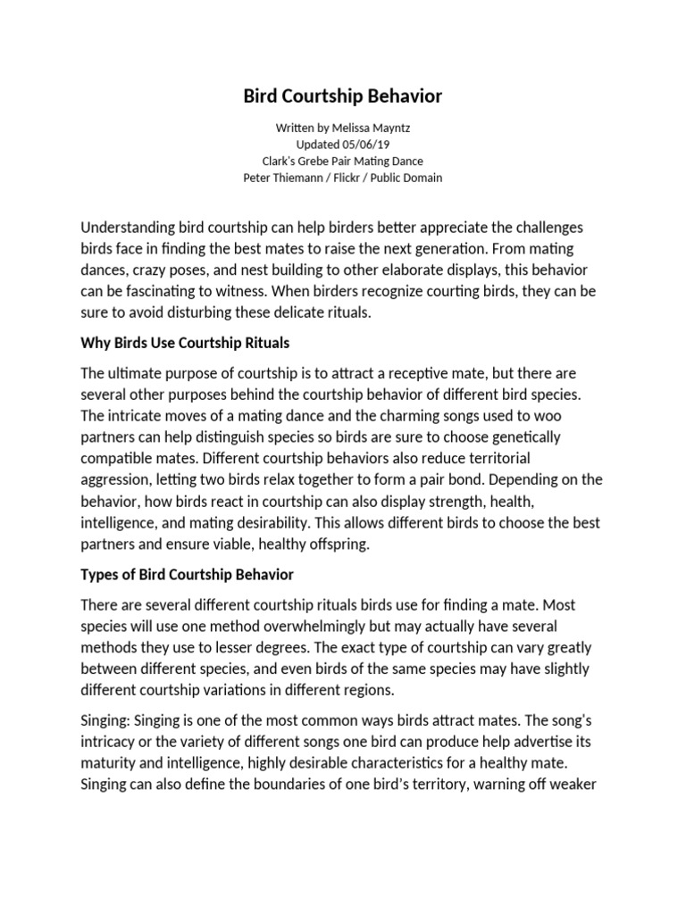 Bird Courtship and Mating Behavior | PDF | Birds | Feather
