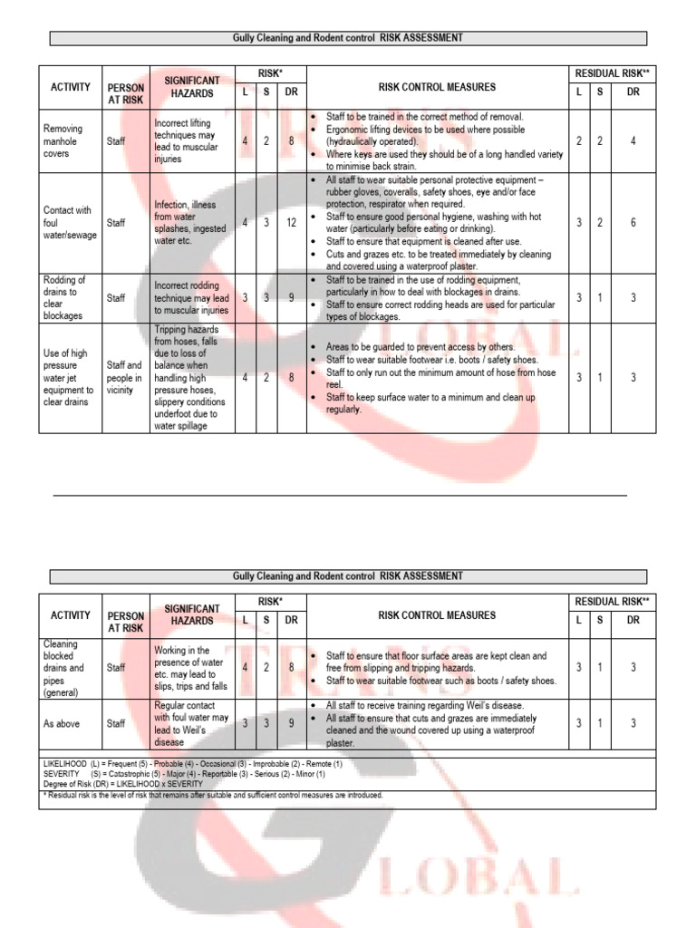 Gully Cleaning and Rodent Control Risk Assessment | PDF | Personal ...