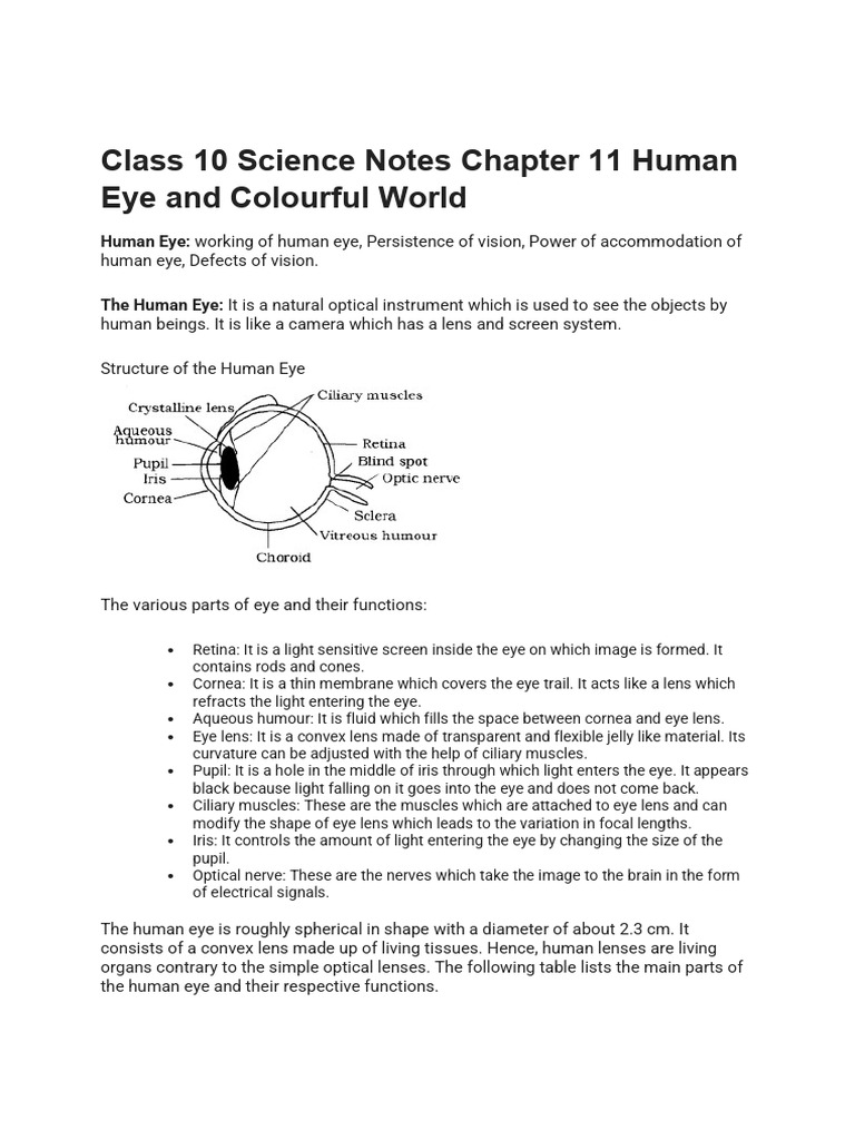 Human Eye and Colourful World Class 10 Notes Science Chapter 11 | PDF ...