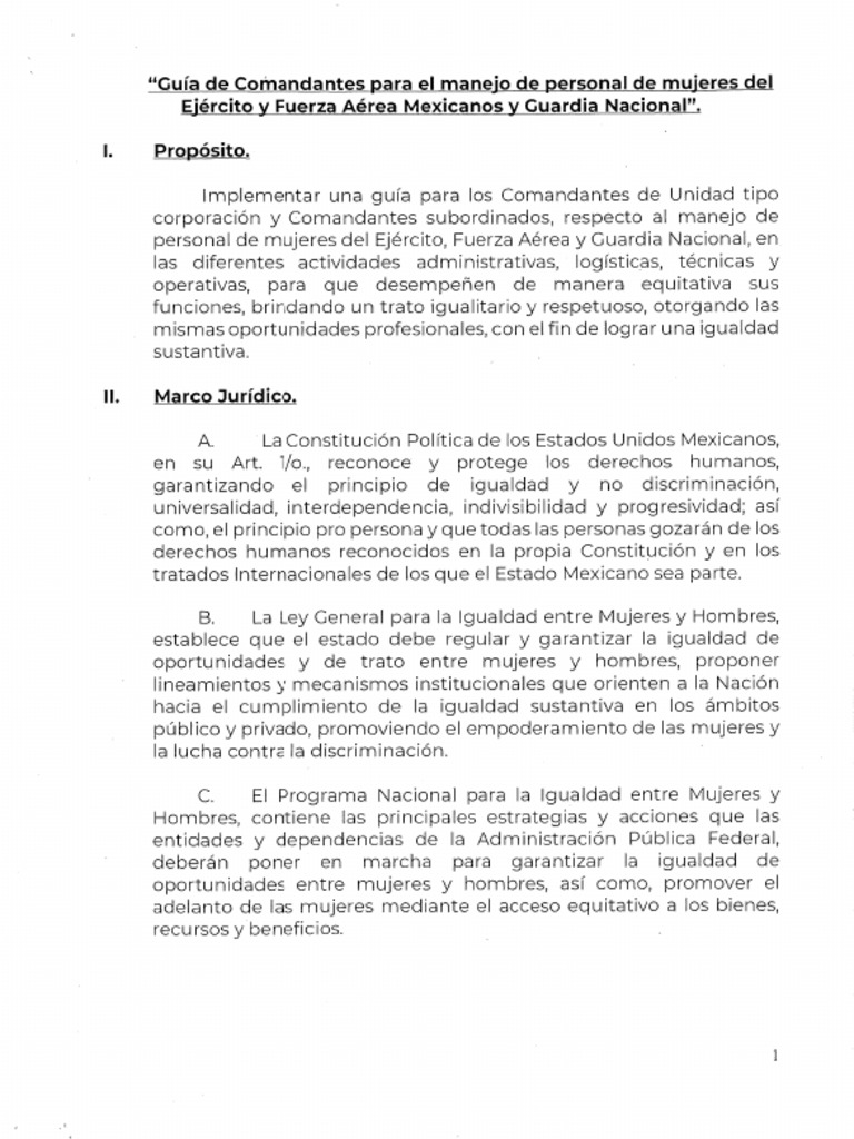 Guia Cmtes | PDF