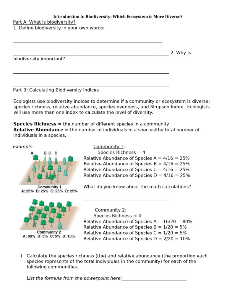 Calculating Biodiversity Worksheet | PDF | Ecology | Species