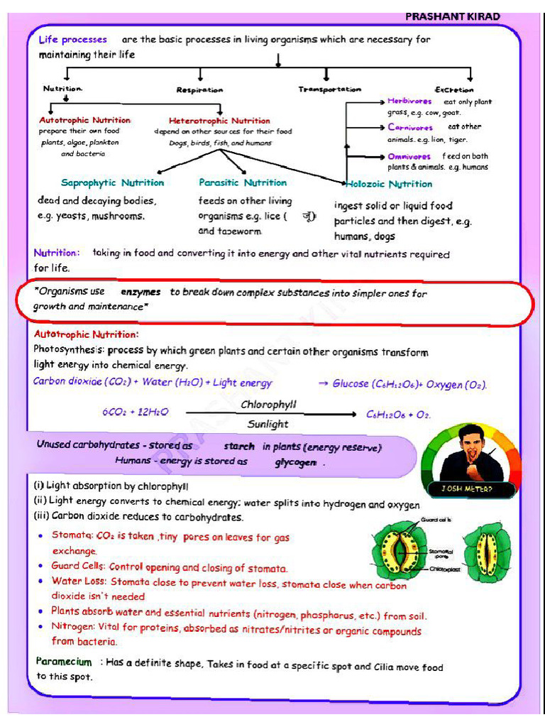 Science Note | PDF