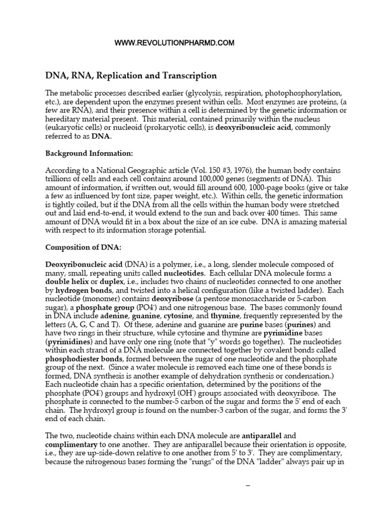 DNA and RNA Repilication Transcription | PDF | Dna Replication | Dna