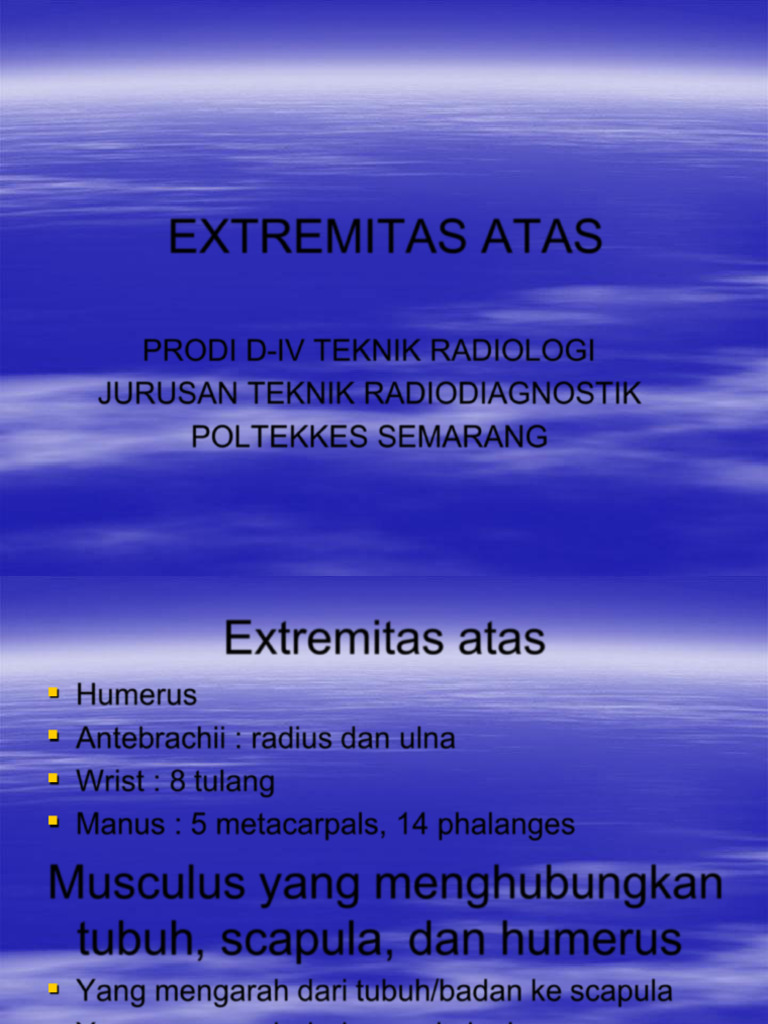 Extremitas Atas | PDF