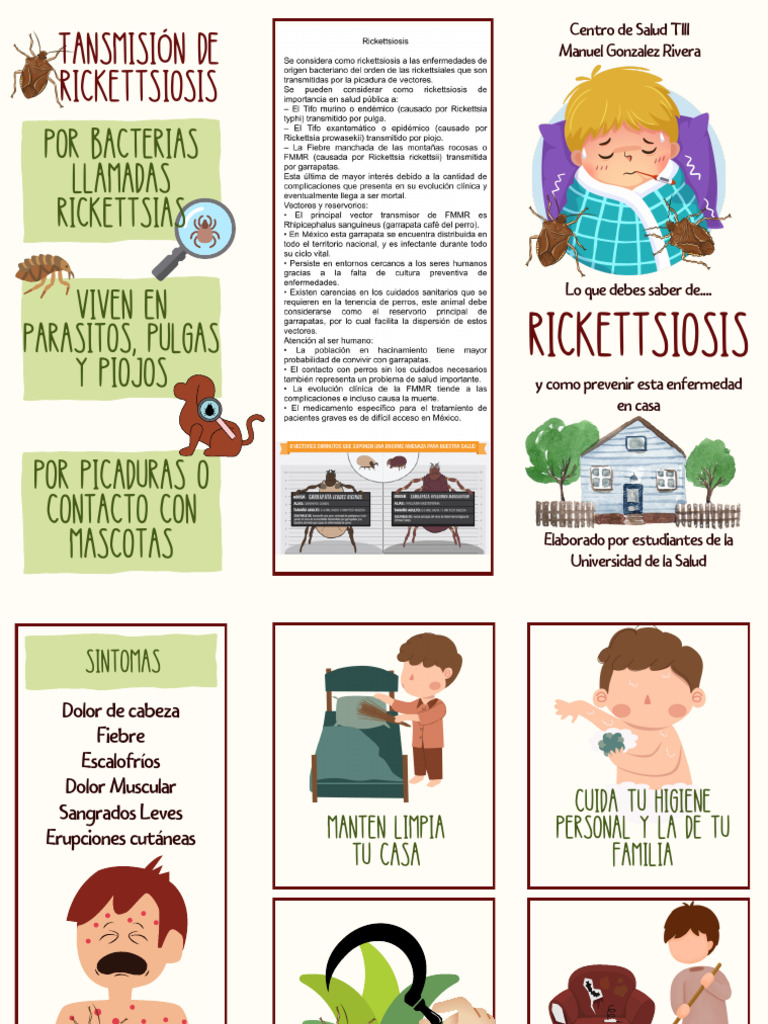 Ricketts Ios Is | PDF