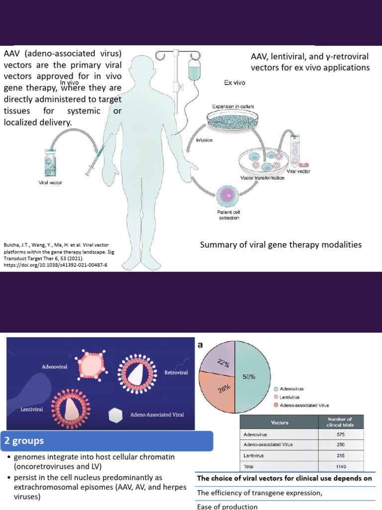 4 Gene Transfer Methods To Animal Cells Viral | PDF | Viral Vector | Virus