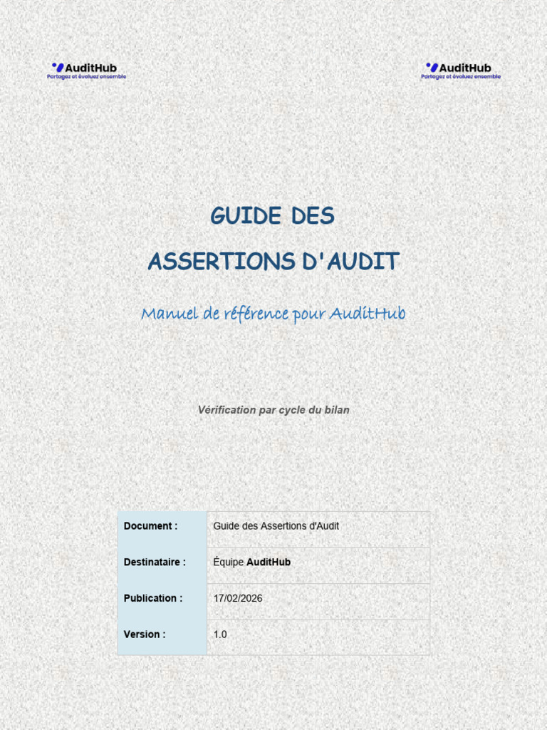 Guide Des Assertions D'Audit: Manuel de Référence Pour Audithub | PDF ...