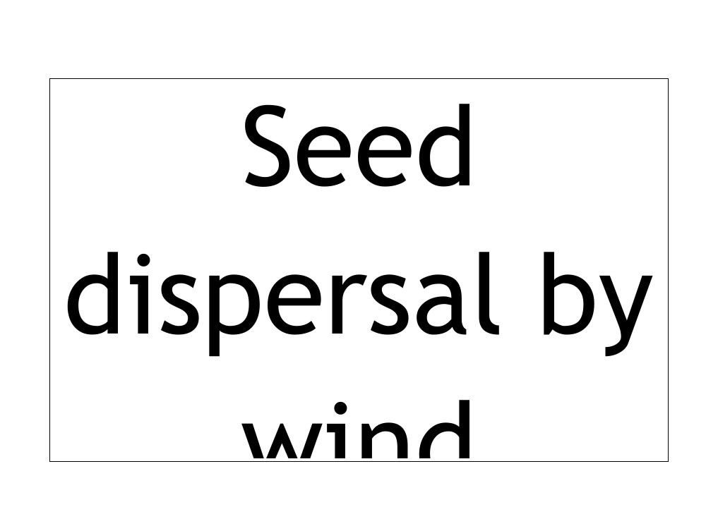 Wind Seed Dispersal Mechanisms | PDF