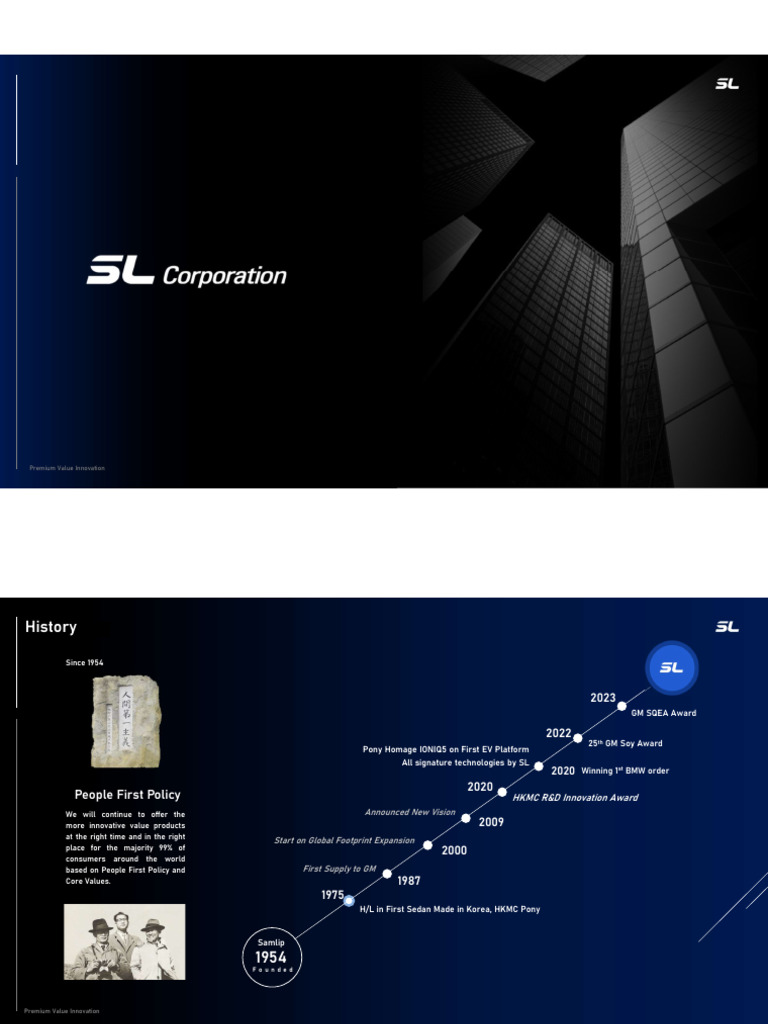 SL Copration Introduction | PDF | Innovation | Battery Charger