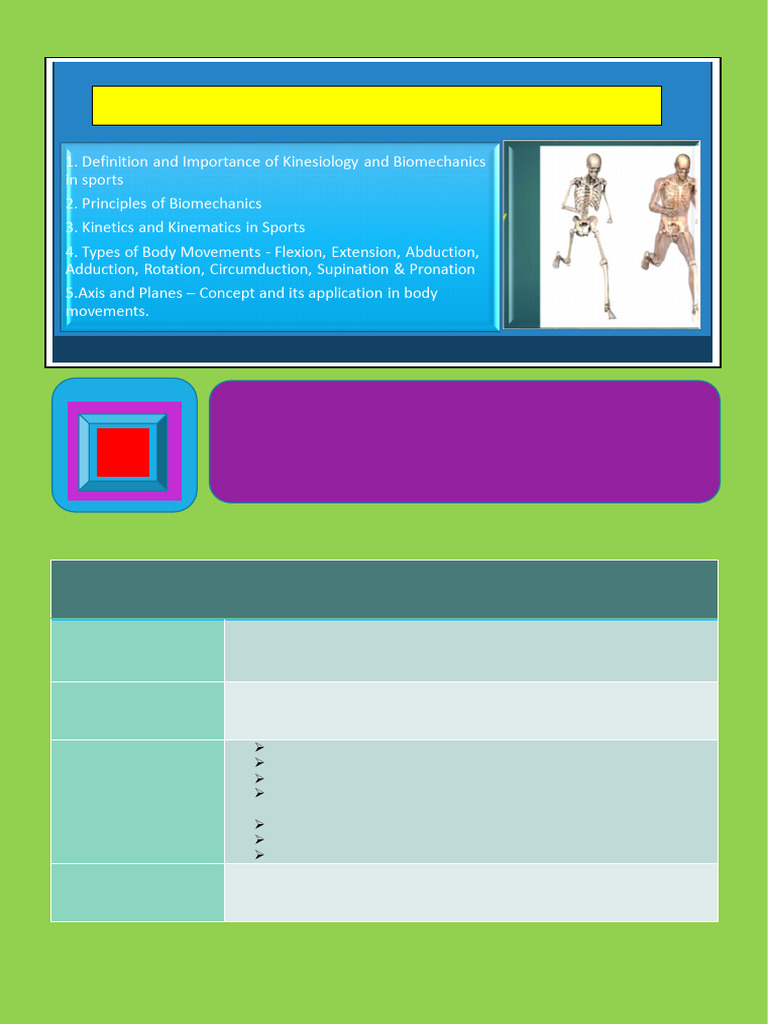 Fundamentals of Kinesiology and Biomechanics in Sports | PDF ...