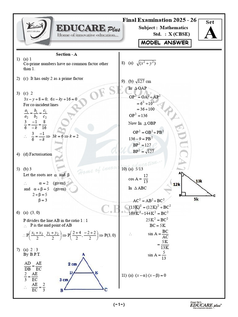 10th Maths Set A Model Answer | PDF | Sphere | Area